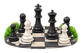 Life Size Chess